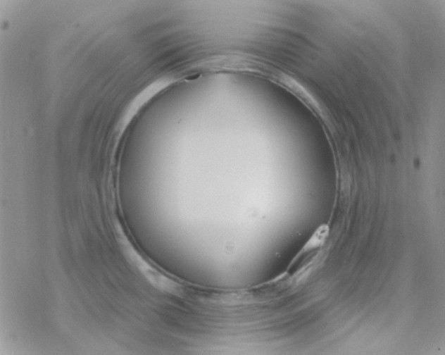 X0000077401434200611172053