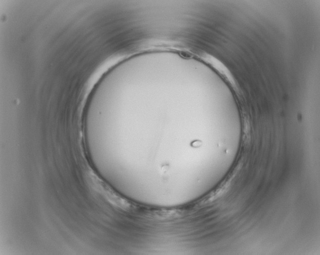 X0000077401435200611172053