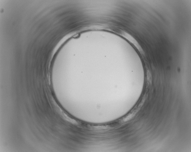 X0000077401436200611172053