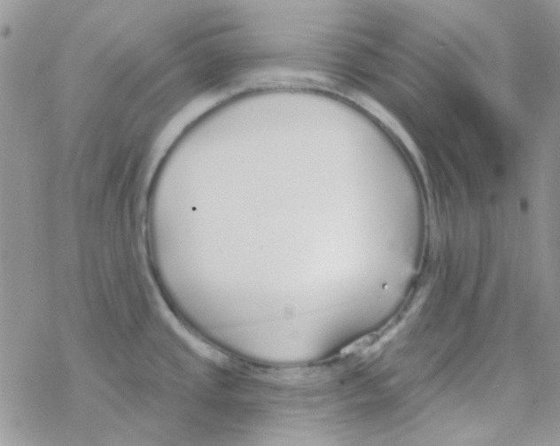 X0000077401437200611172053