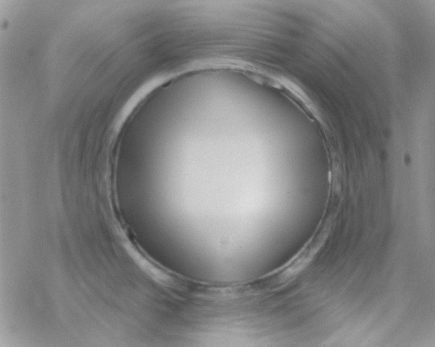 X0000077401438200611172053