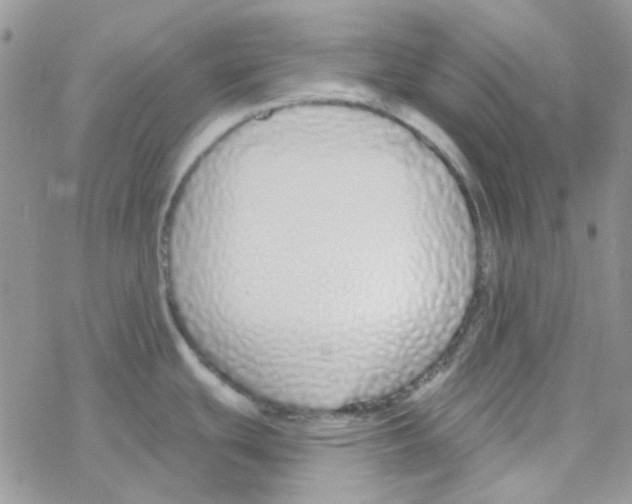 X0000077401439200611172053