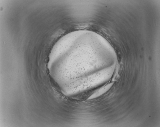 X0000077401441200611172052