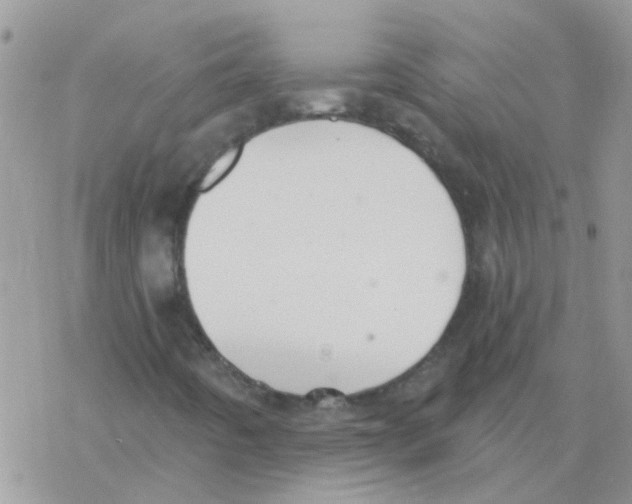 X0000077401442200611172052