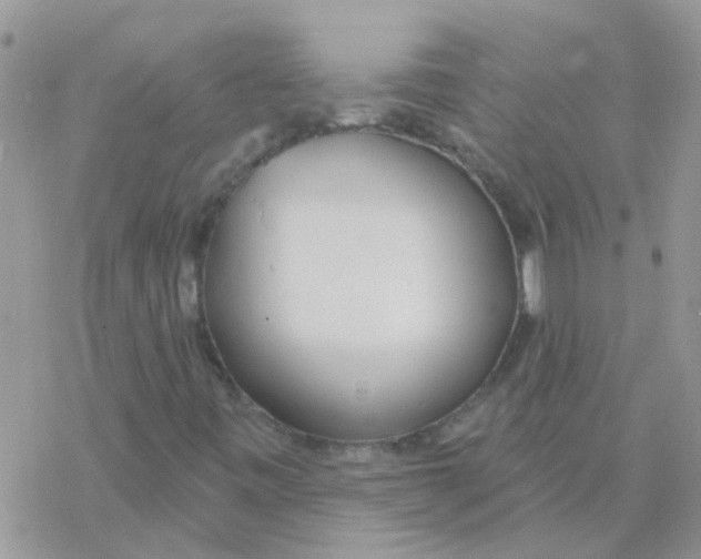 X0000077401443200611172052