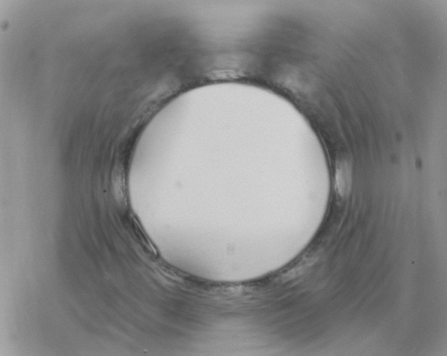 X0000077401444200611172052