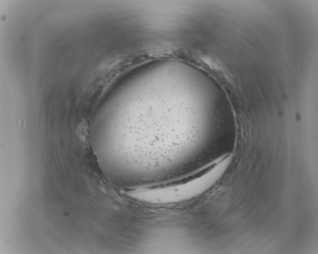 X0000077401445200611172052