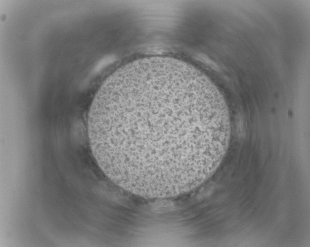 X0000077401446200611172052