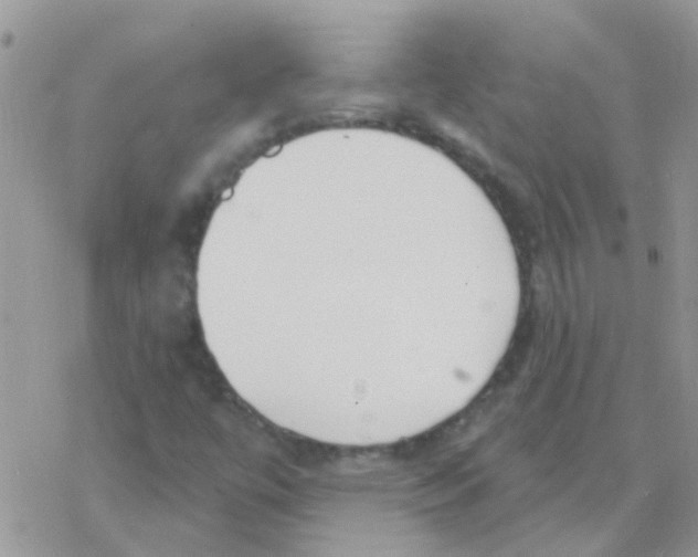 X0000077401447200611172052