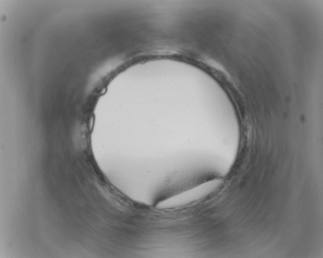 X0000077401448200611172052