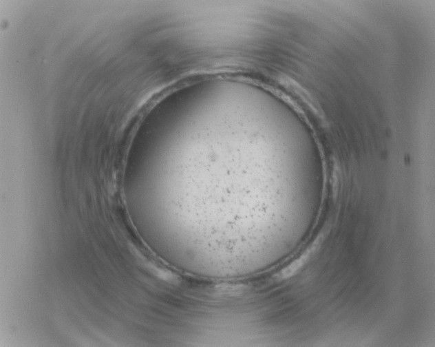 X0000077401449200611172052