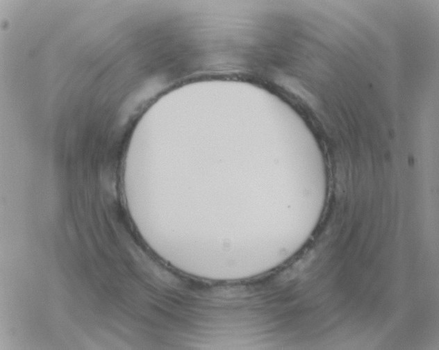 X0000077401451200611172052