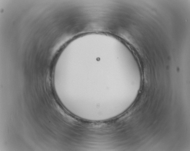 X0000077401452200611172052