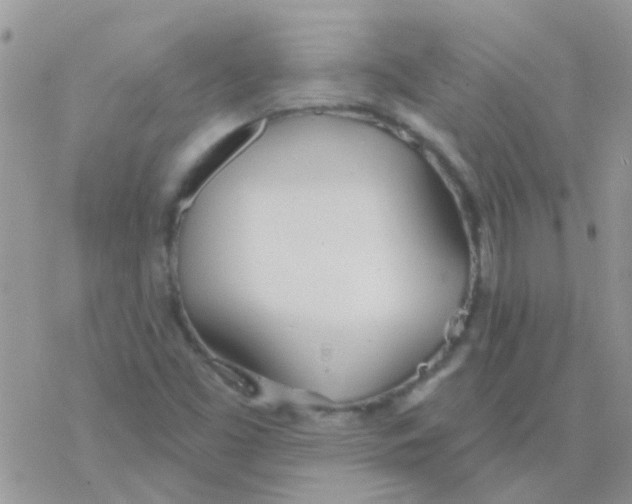 X0000077401453200611172052