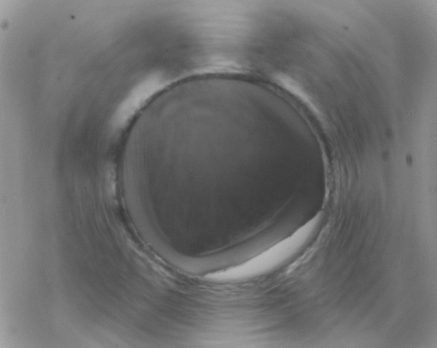 X0000077401455200611172052