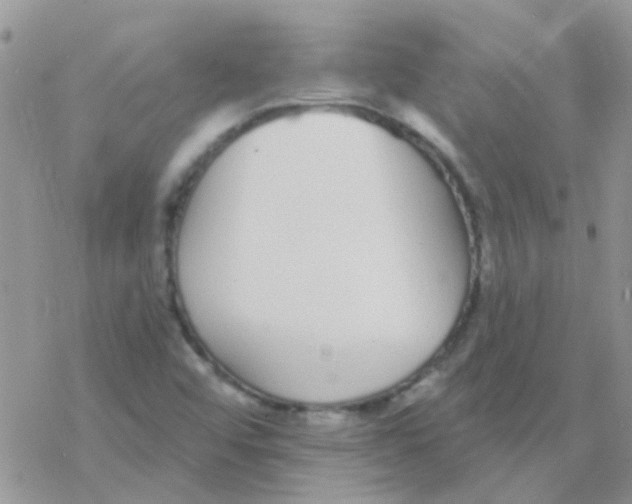 X0000077401456200611172052