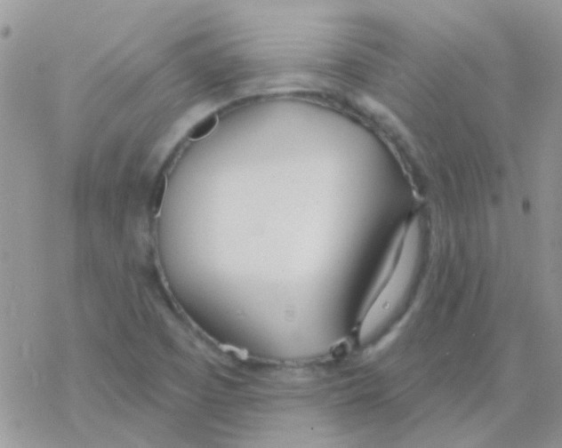 X0000077401457200611172052