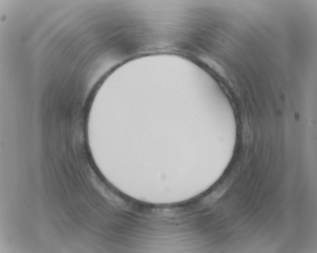 X0000077401458200611172052