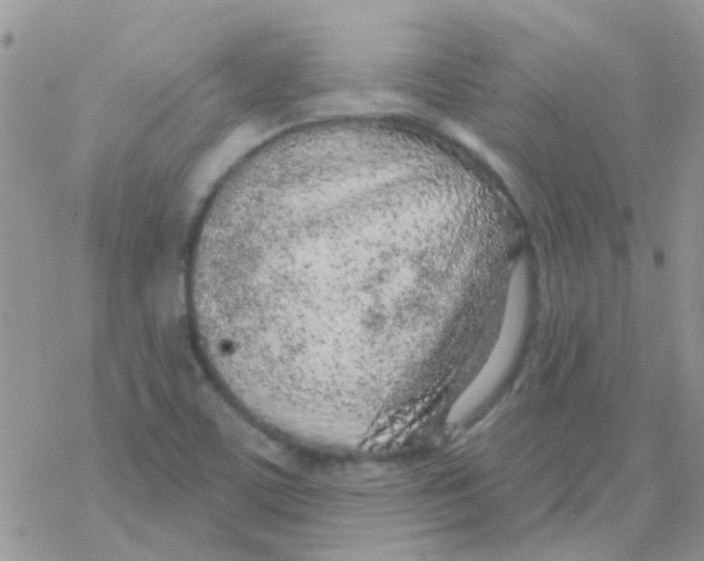 X0000077401459200611172052