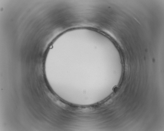 X0000077401460200611172052