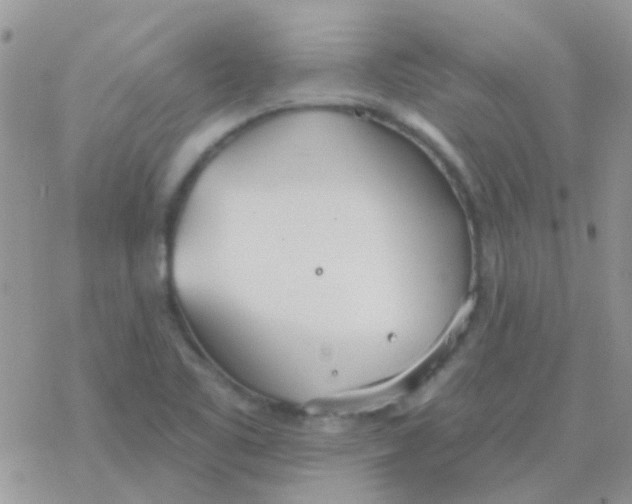 X0000077401461200611172052