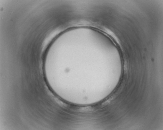 X0000077401464200611172052