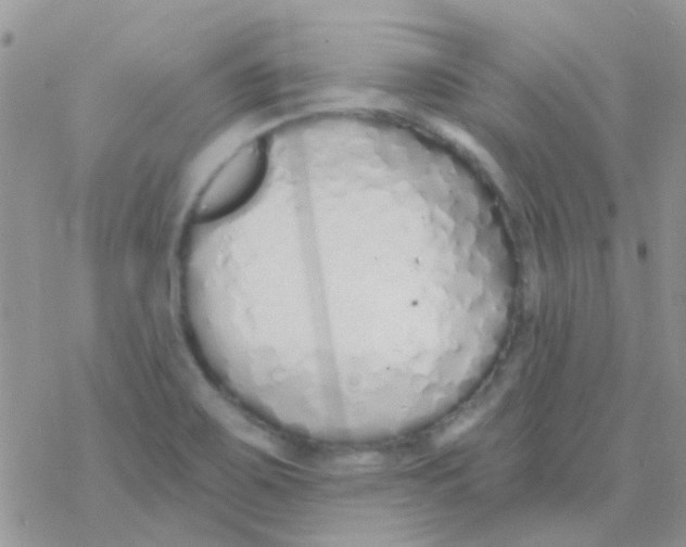 X0000077401467200611172052