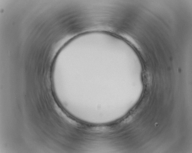 X0000077401468200611172052