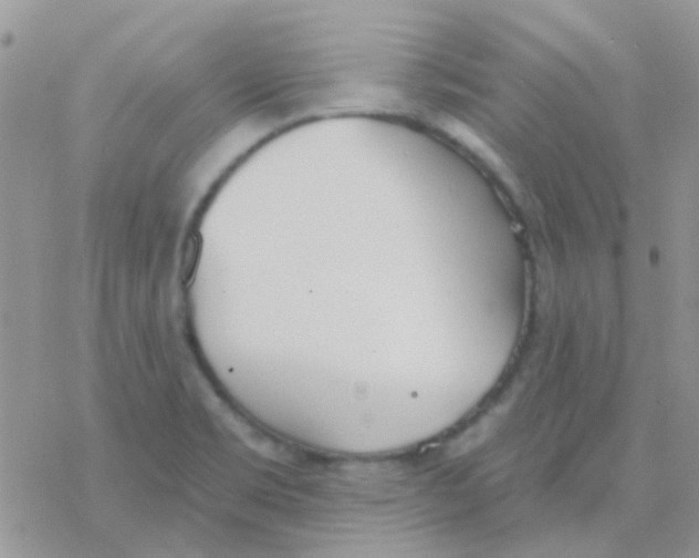 X0000077401469200611172052