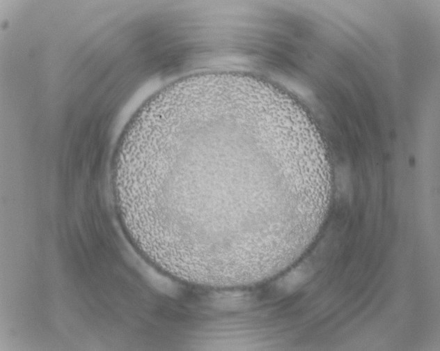 X0000077401470200611172052