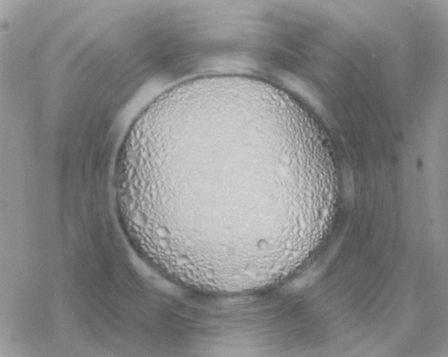 X0000077401471200611172052