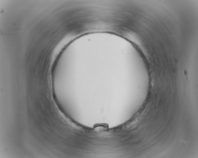 X0000077401472200611172052