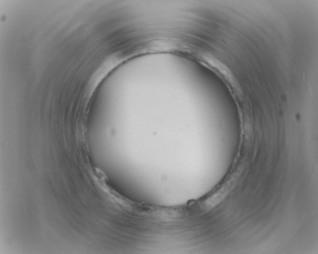 X0000077401473200611172052