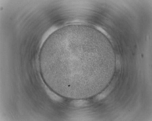 X0000077401474200611172052