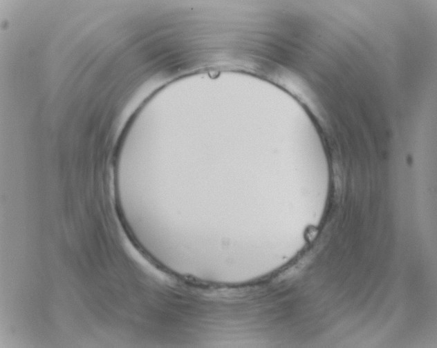 X0000077401476200611172052