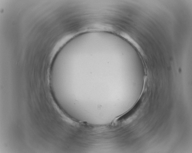 X0000077401477200611172052