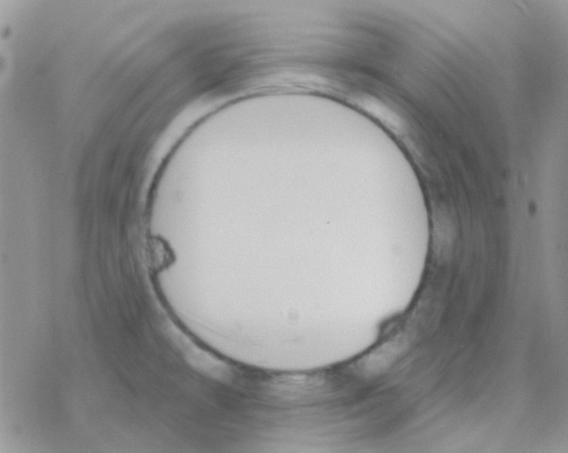 X0000077401478200611172051