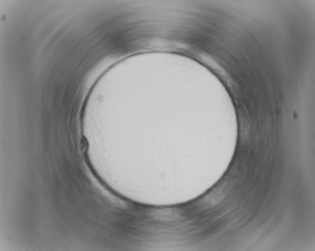 X0000077401479200611172051