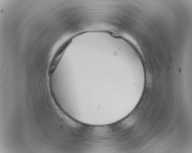 X0000077401480200611172051