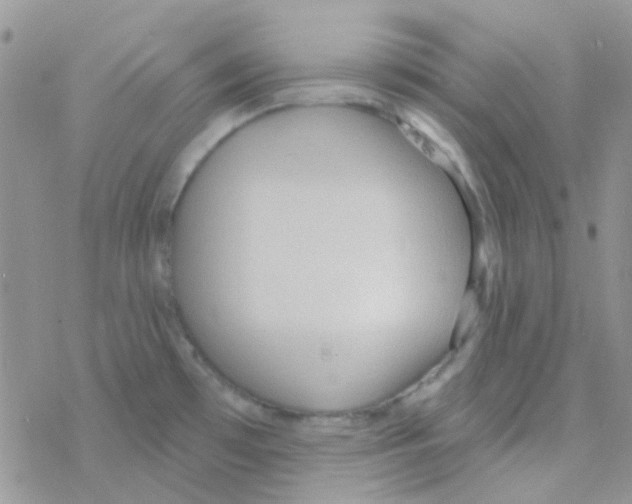 X0000077401481200611172051