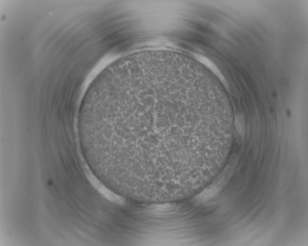 X0000077401482200611172051