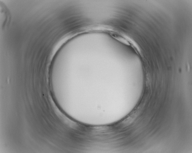 X0000077401483200611172051