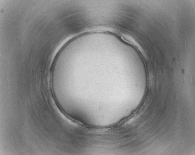 X0000077401484200611172051