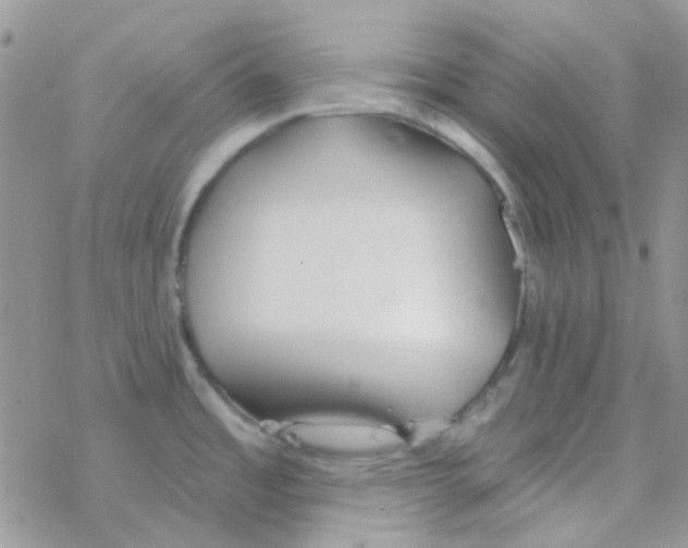 X0000077401485200611172051