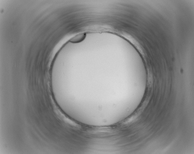 X0000077401486200611172051