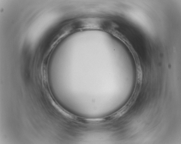 X0000077401487200611172051