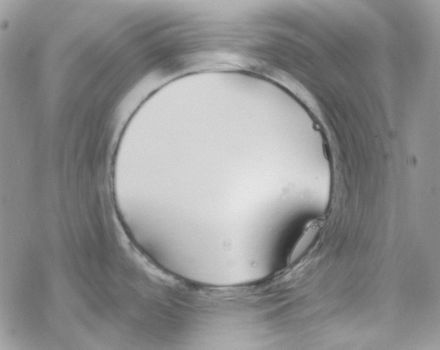 X0000077401488200611172051