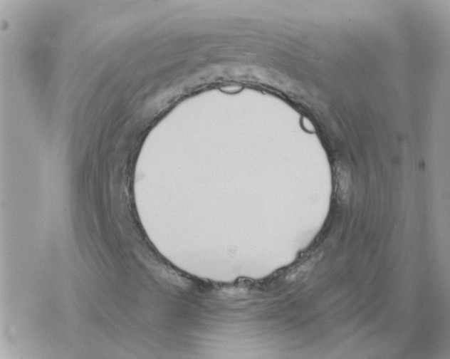 X0000077401489200611172051