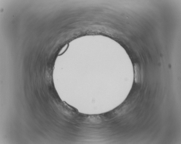 X0000077401491200611172051