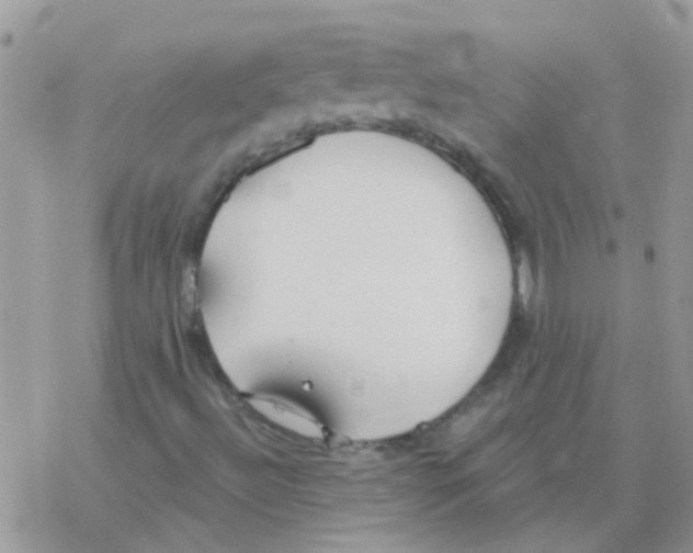 X0000077401492200611172051